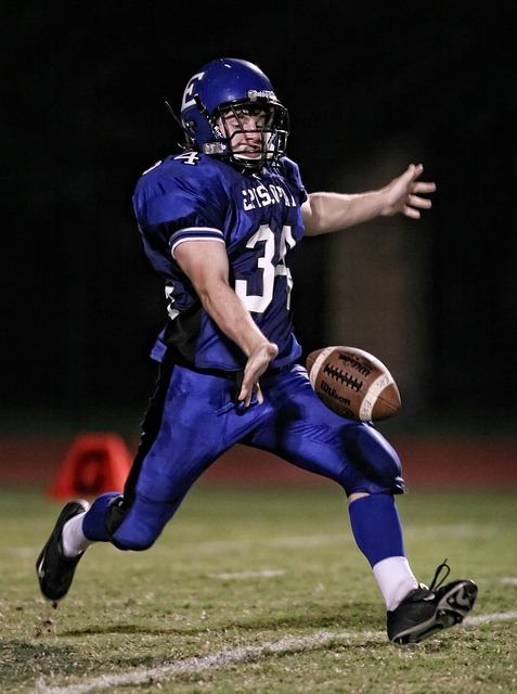 雷尼尔多的 雷尼尔多的